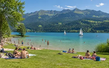 Badewiese am Großen Alpsee bei Immenstadt: Menschen liegen in der Sonne und baden im türkisen Wasser, Segelboote vor den bewaldeten Bergen